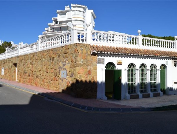 Commercial for sale in Calahonda, Marbella