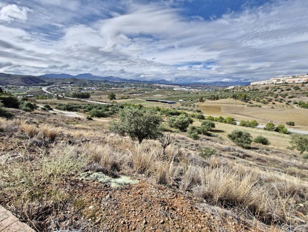 Plot for sale in Coín, Marbella