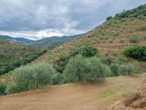 Plot for sale in Monda, Marbella