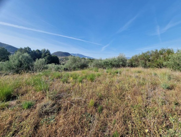 Plot for sale in Cártama, Marbella