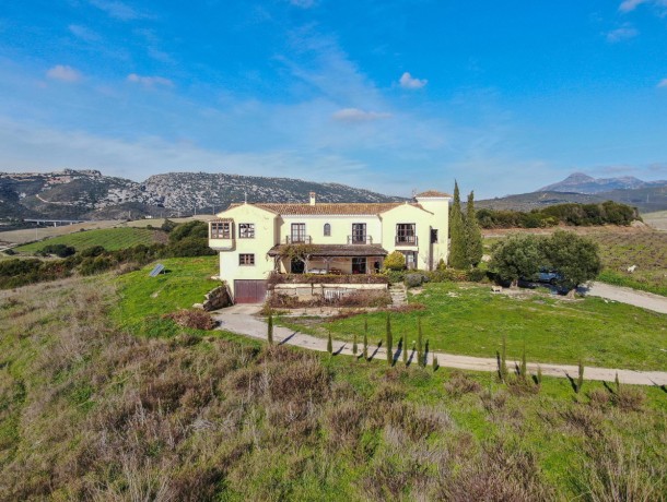 Villa for sale in Casares, Marbella