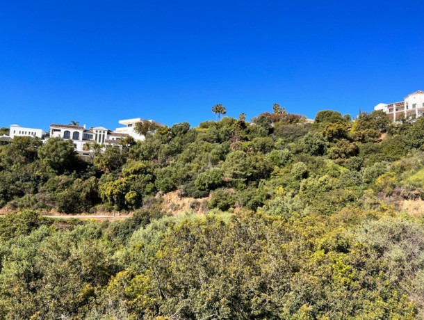 Plot for sale in Benahavís, Marbella