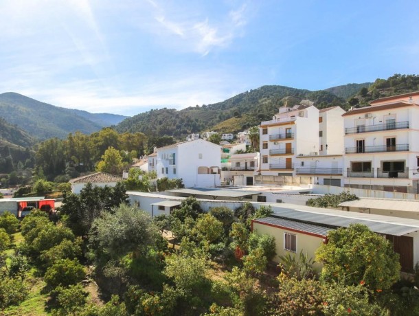 Commercial for sale in Tolox, Marbella