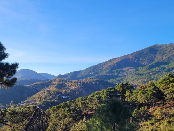 Plot for sale in La Zagaleta, Marbella