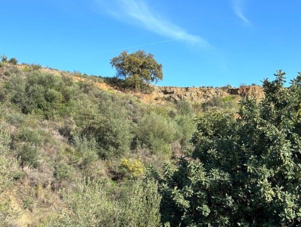 Plot for sale in Estepona, Marbella