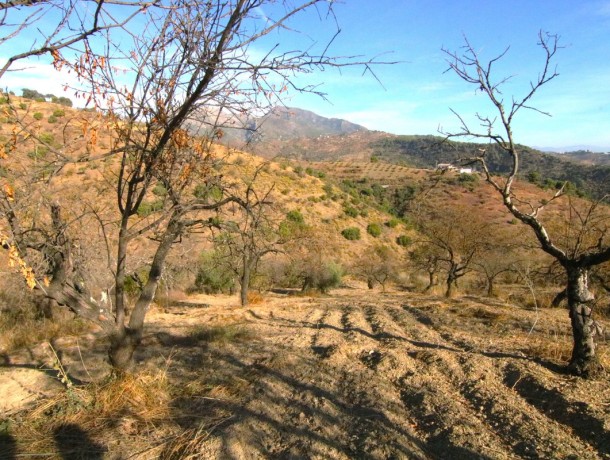 Plot for sale in Tolox, Marbella