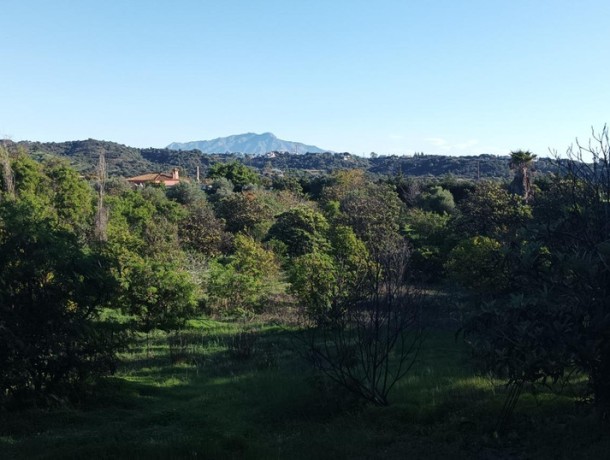Plot for sale in El Padron, Marbella
