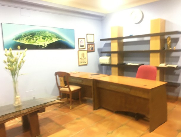 Commercial for sale in San Luis de Sabinillas, Marbella