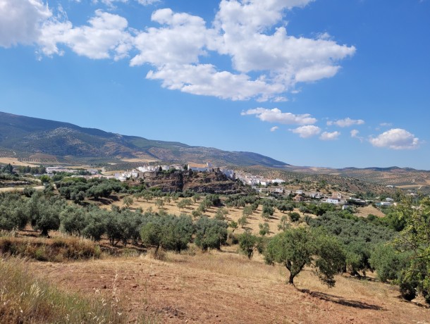 Commercial for sale in El Burgo, Marbella