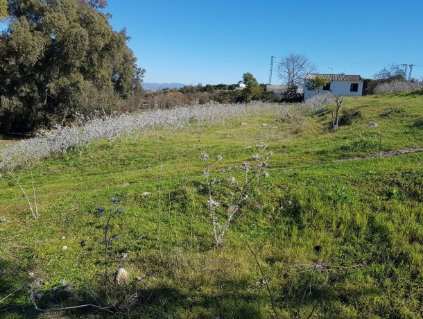 Plot for sale in Coín, Marbella