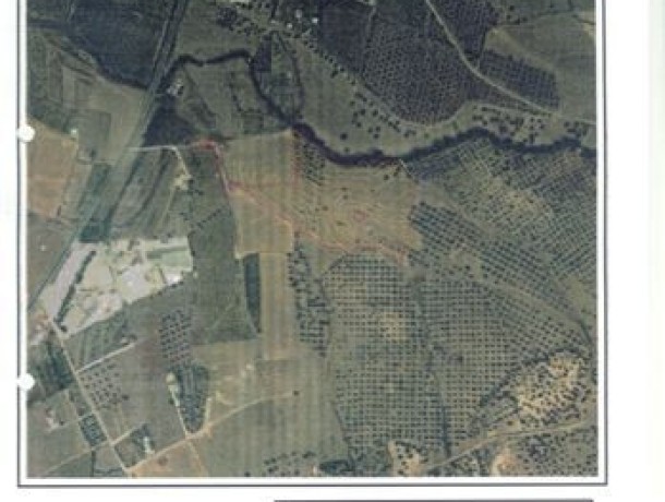 Plot for sale in Alhaurín el Grande, Marbella