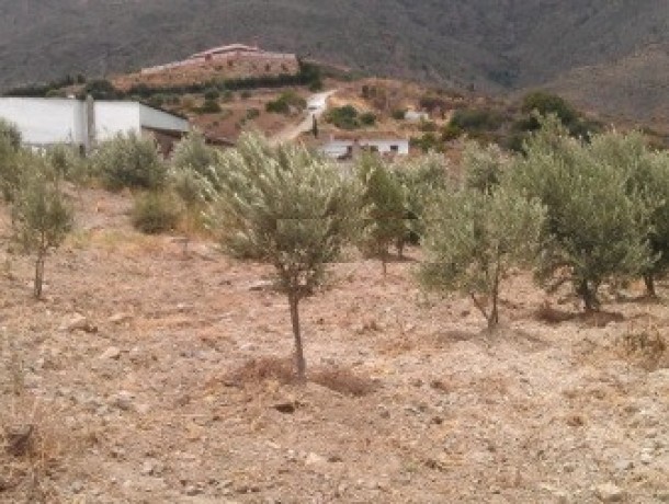 Plot for sale in Estepona, Marbella