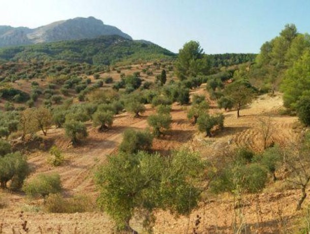 Villa for sale in El Burgo, Marbella