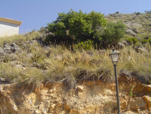 Plot for sale in Coín, Marbella