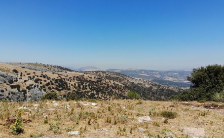 Plot for sale in , Ronda