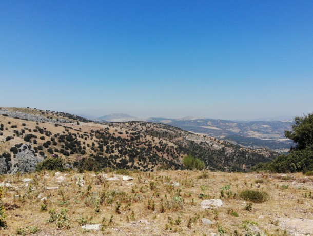 Plot for sale in Ronda, Marbella