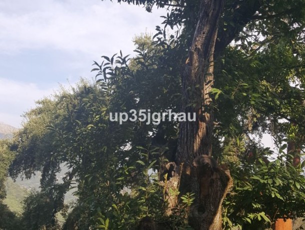 Plot for sale in Genalguacil, Marbella