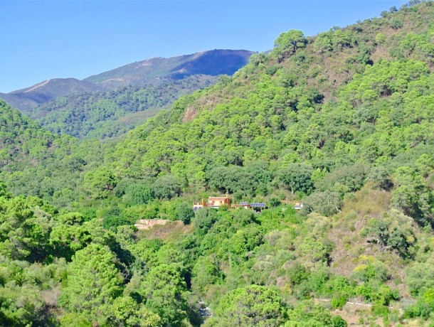 Villa for sale in Istán, Marbella