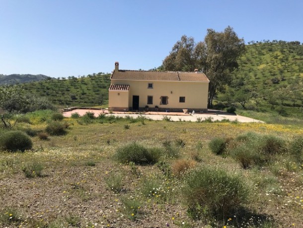 Plot for sale in Casabermeja, Marbella