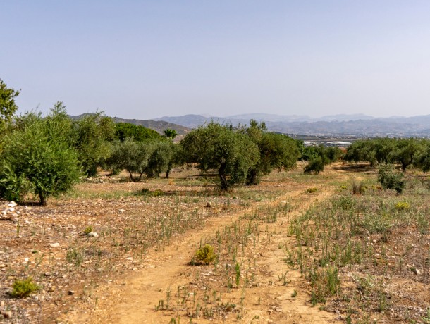 Plot for sale in Alhaurín de la Torre, Marbella